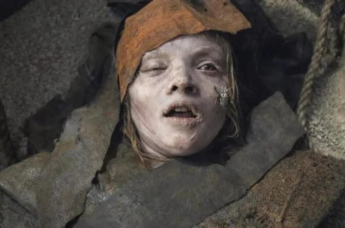 A MALDIÇÃO DA MÚMIA (2026) de LEE CRONIN - Onde o Terror Raiz se Perde na Fórmula da Possessão